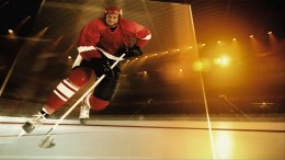 SF SPORT FUR WEB